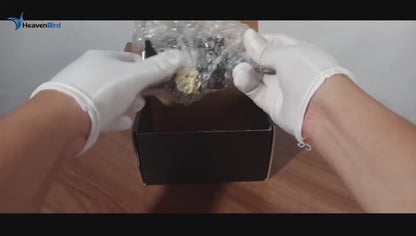 50mm/70mm Double Locking Stainless Steel Rimlock for Garage Door or Wooden Gate